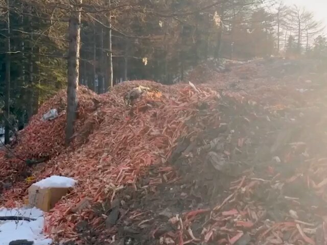 Шесть жителей Хабаровского края незаконно добыли краба на 1 
