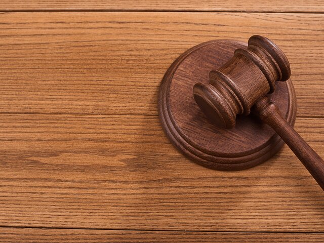Суд в Москве наложил арест на автомобиль историка Эйдельман