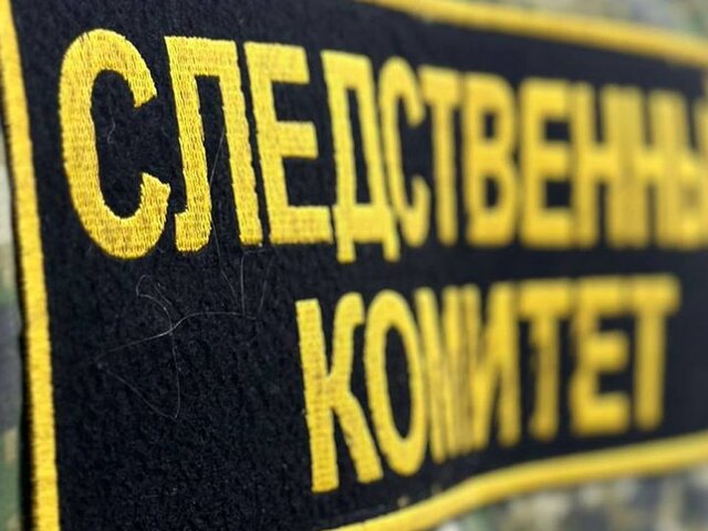 В Воронеже возобновили дело против девушки, скрывшей доход в 168 рублей