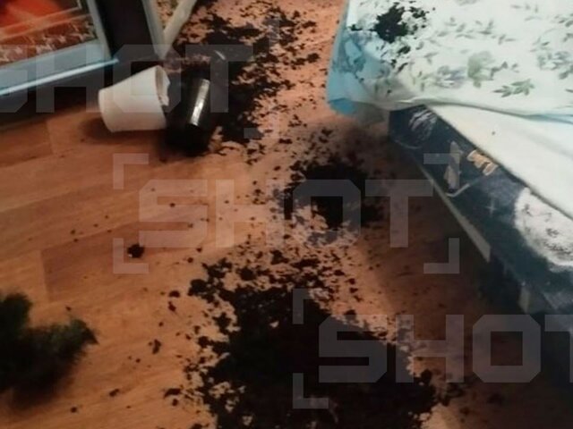 Семья в Арзамасе пожаловалась в мэрию на привидение