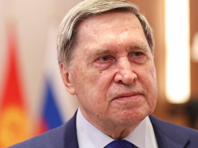 Ушаков заявил, что вице-премьеру Армении передали заявление лидеров ЕАЭС