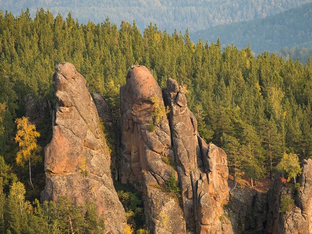 Пропавших в нацпарке под Красноярском детей нашли