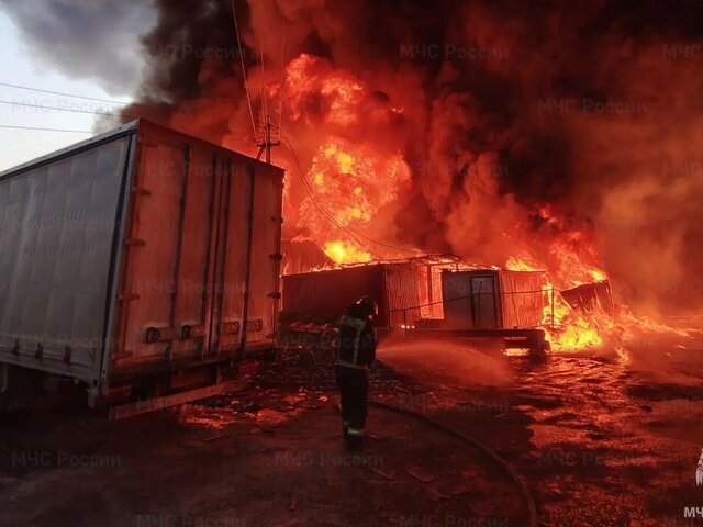 Крупный пожар вспыхнул в Дмитровском районе Подмосковья