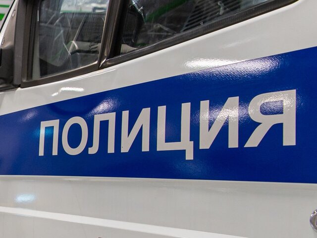 Инспекторы ДПС изъяли около 100 граммов гашиша у мужчины на северо-востоке Москвы