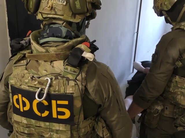 ФСБ пресекла попытку ввоза в Россию с Украины более 500 взрывных устройств