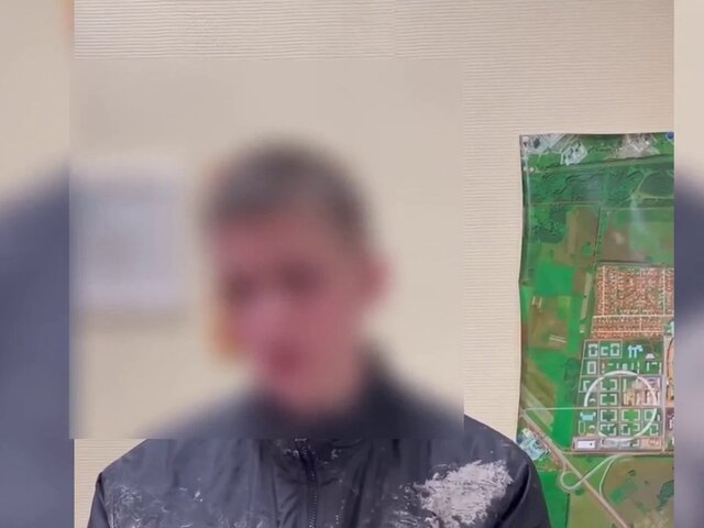 Дело о теракте возбуждено после поджога подростком машин полиции под Новосибирском