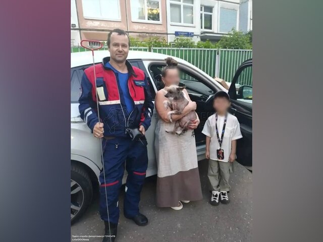 Столичные спасатели вызволили собаку из запертого автомобиля