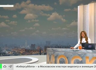 Кошачьего лемура изъяли из антикафе в Москве