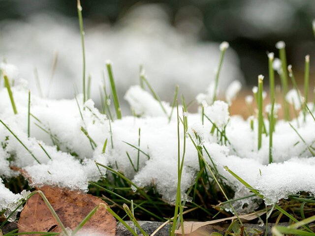 Высота снежного покрова в Подмосковье местами достигла 11 см