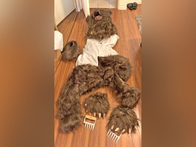 В США перед судом предстанет армянин, который переодевался медведем и царапал машины