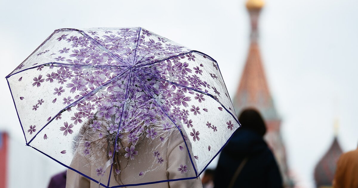 Антициклон прекратит дожди в Москве
