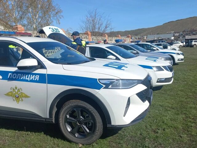 Дело о посягательстве на жизнь полицейских возбудили после стрельбы в Оренбуржье