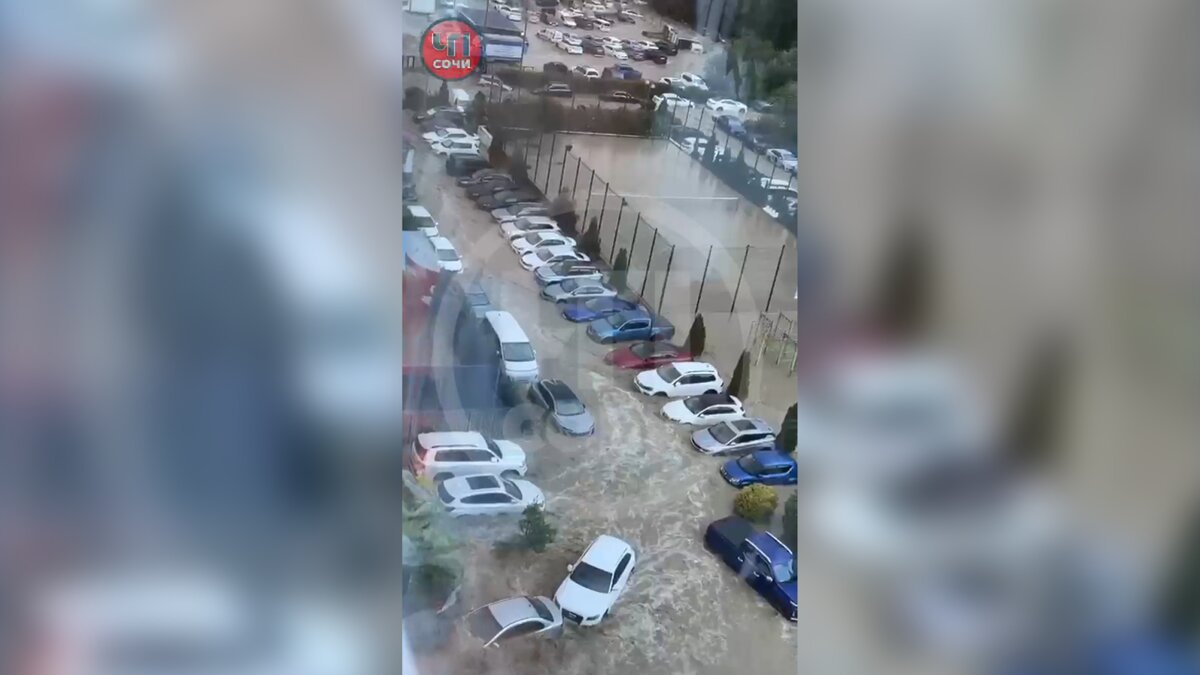 https://www.m24.ru/b/d/nBkSUhL2h1Mumcq0Lr6BrNOp2Z318Ji-mifCm-WR9mOBdDebBizCnTY8qdJf6ReJ58vU9meMMok3Ee2nhSR6ISeO9G1N_wjJ=zFa9haNxW2kIROdIKuydCw.jpg