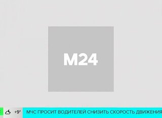 В Казахстане пресекли контрабанду 30 кг гашиша из Афганистана