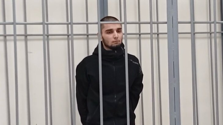 Мужчина, напавший на полицейских в Гольяново, получил пожизненный срок Мужчина, напавший на полицейских в Гольяново, получил пожизненный срок