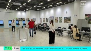 На выборах в Госдуму работают 381 341 наблюдатель
