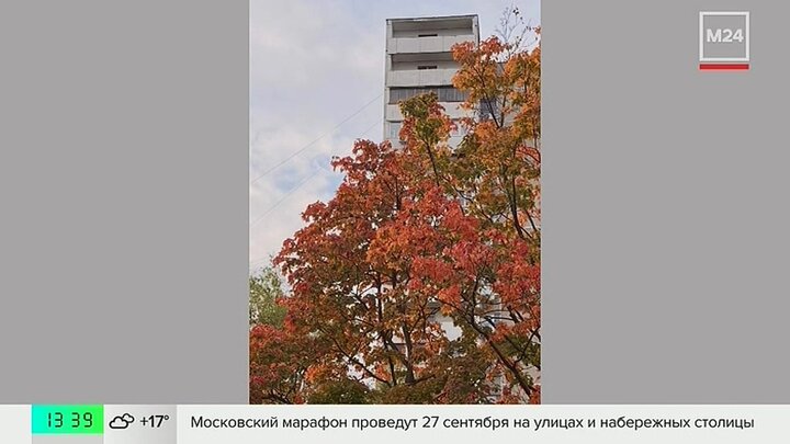 Доброе Утро Картинки Красивые Эротика Доброе Утро Картинки Красивые Эротика