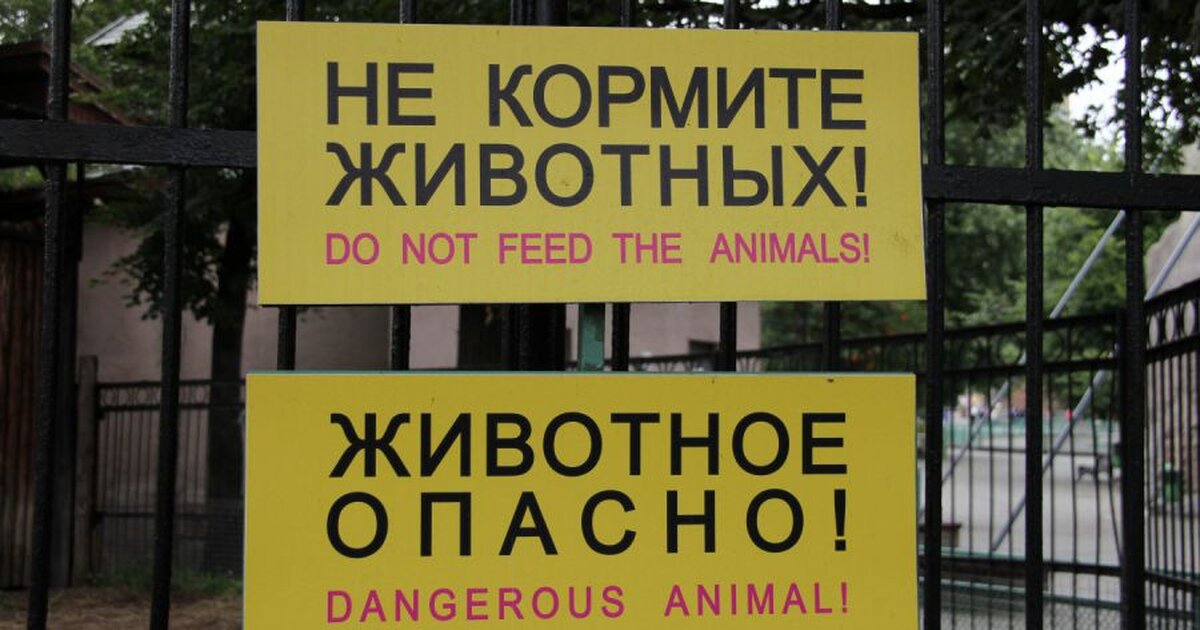 Кормить животных запрещено. Таблички в зоопарке. Табличка в зоопарке животных не кормить. Животных не кормить. Таблички для животных в зоопарке