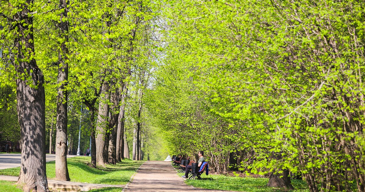 Парк новослободский