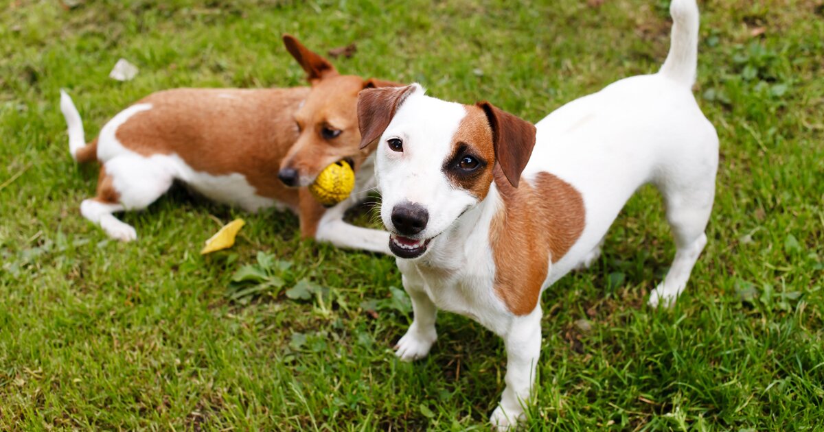 5. Не забывайте о хорошей идентификации