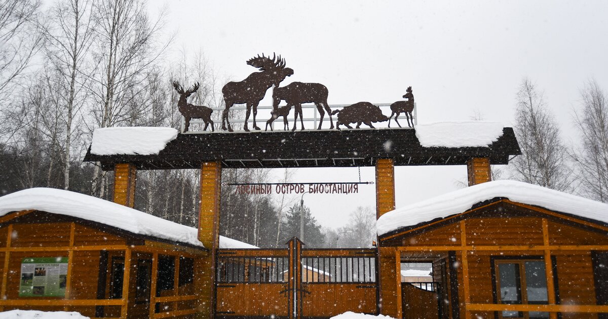 Парк лосиный остров москва. Парк лосиный остров московская область. Парк лосиный остров москва. Парк лосиный остров. Лосиный остров национальный парк.
