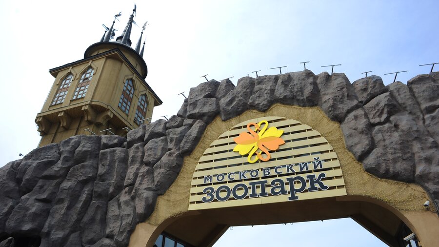 Московский зоопарк 1864 года. План зоопарка в москве. Московский зоопарк старая территория. Московский зоопарк 19 век. Московский зоопарк 1905 года.