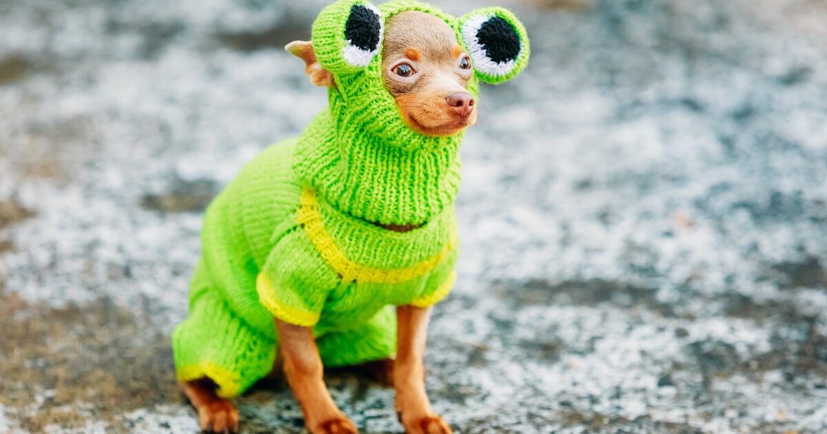 2. Кошки видят в темноте