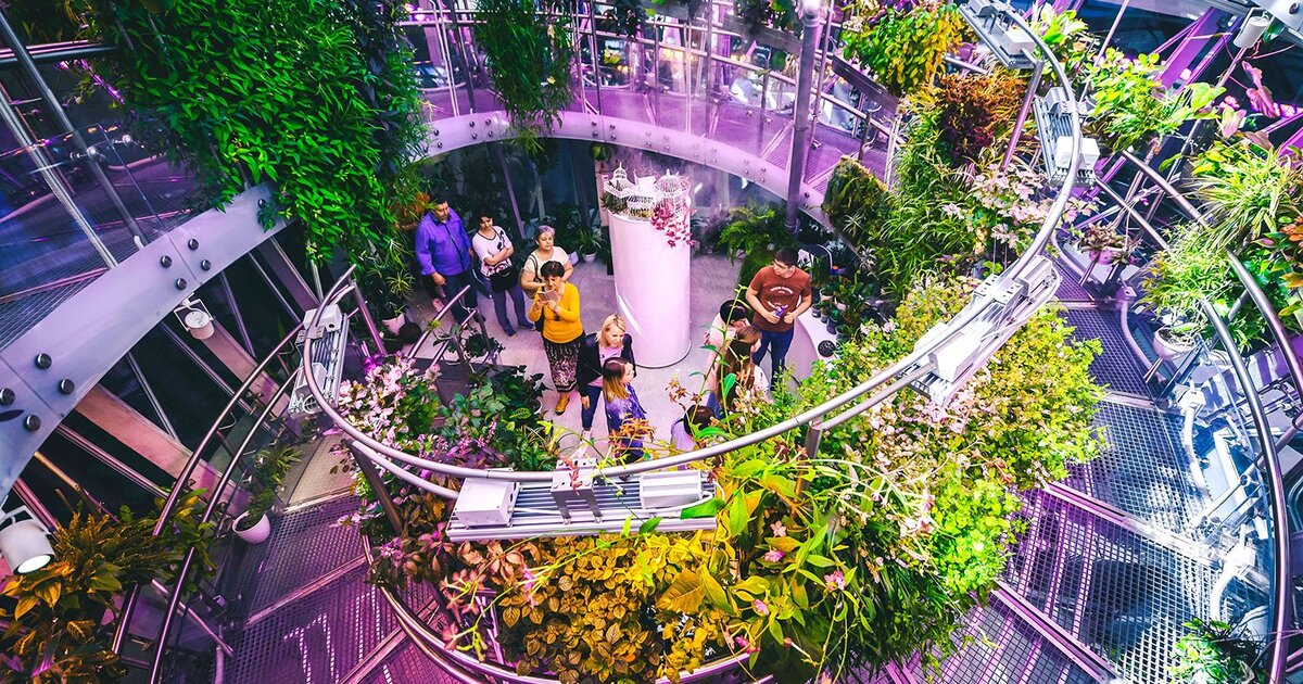 Парк зарядье в москве аттракционы