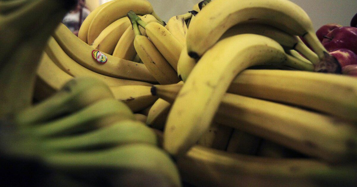 Почему чернеют бананы. Поставка бананов. Производители бананов. Поедание банана. Бананы и другие фрукты.