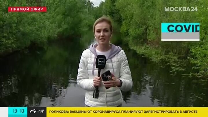 Вера морозова москва 24