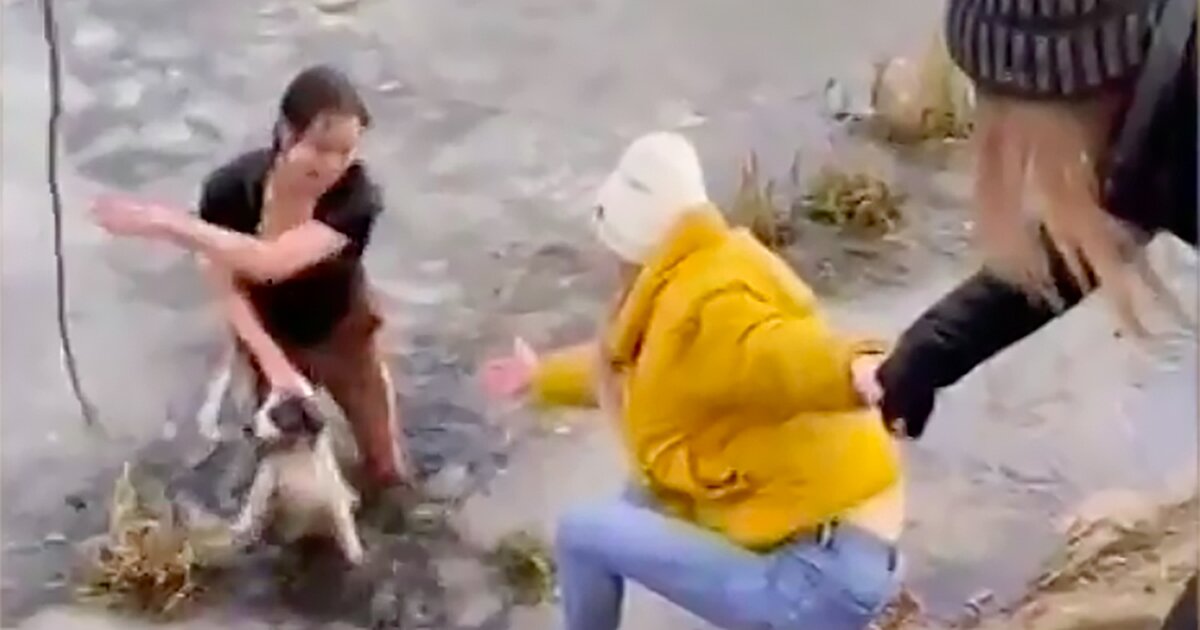 Спасение девушки из воды. Девушка в болоте увязла. Девочка спасла животных. Спасение животных людьми. Девочка спасла животных.