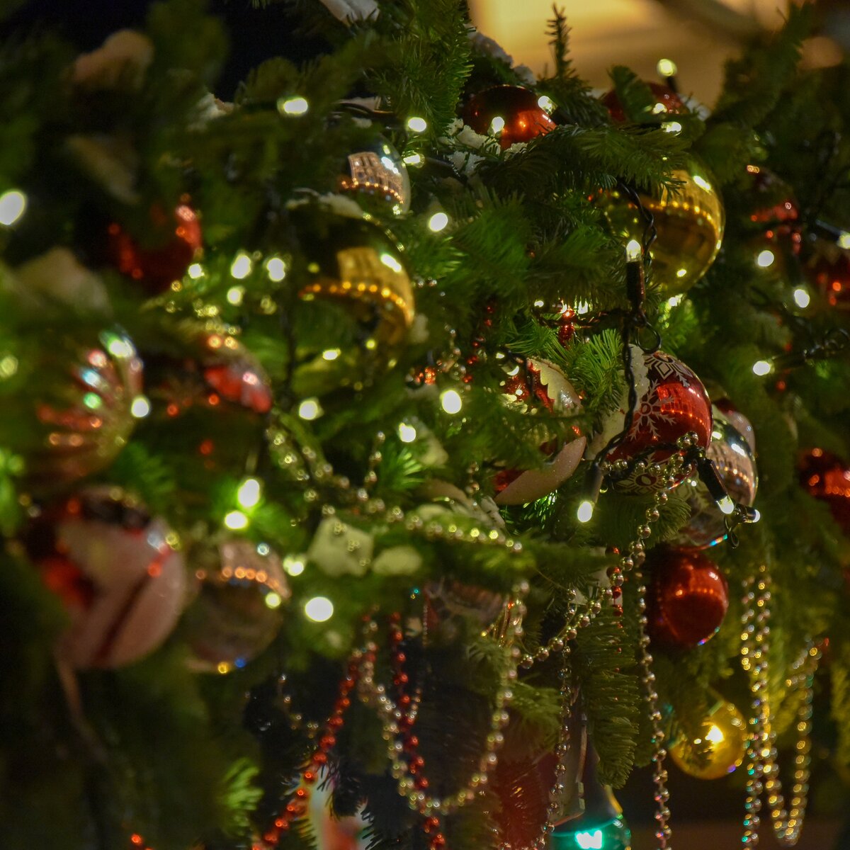 Где купить новогоднюю. Гирлянда на елку. Гирлянда роса на елке. Лампочка гирлянда новый год елка. Выключи гирлянду на елке.