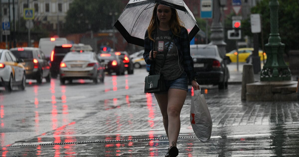 Самый дождливый месяц лета. Самый дождливый месяц в Москве. Наблюдать за дождем в Москве. Самые дождливые профессии за 2024 году.