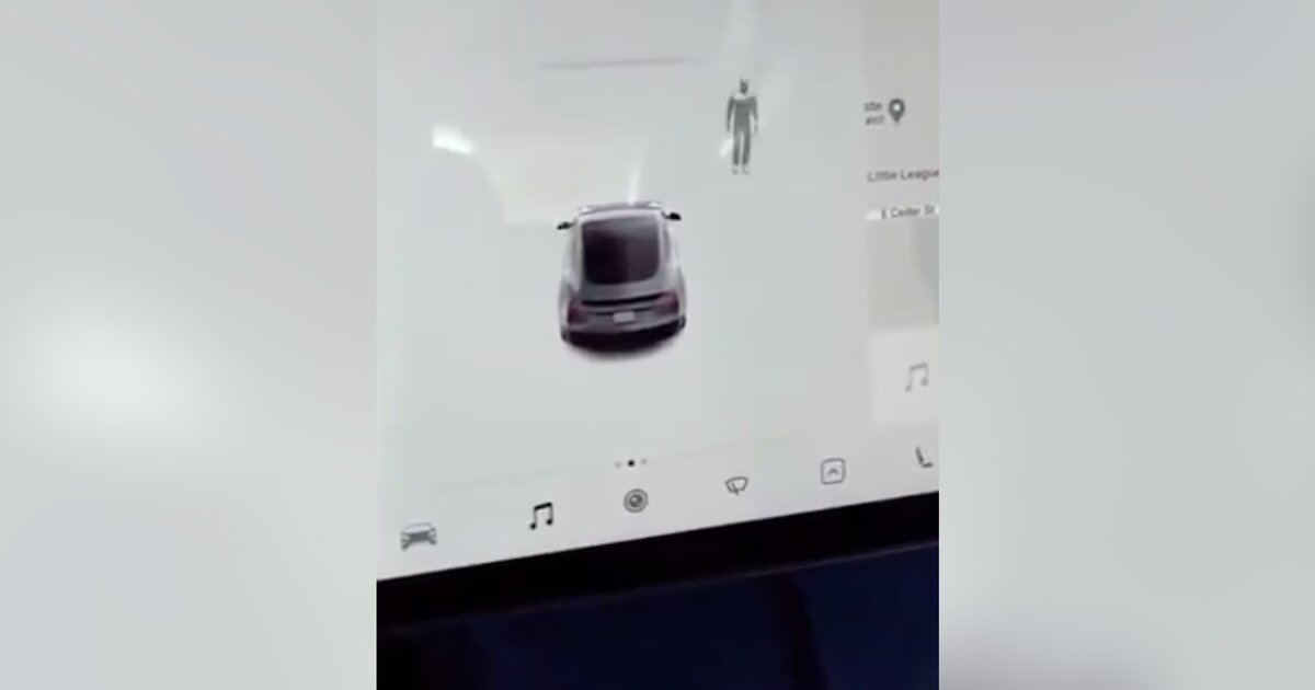 Тесла видит мерседес как мусорку Тесла видит мерседес как мусорку