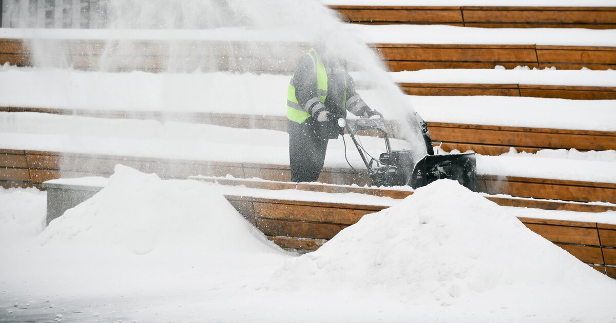 Снег фото. 1 метр снега. Снежные заносы на дорогах. Аист под метром снега. Сугробы фото.