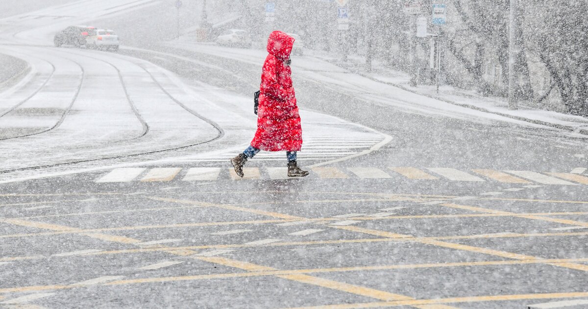снег снежки. предприятие гбу автомобильные дороги. непогода мокрый снег. ближайший снег есть. снегопад медицина зима.