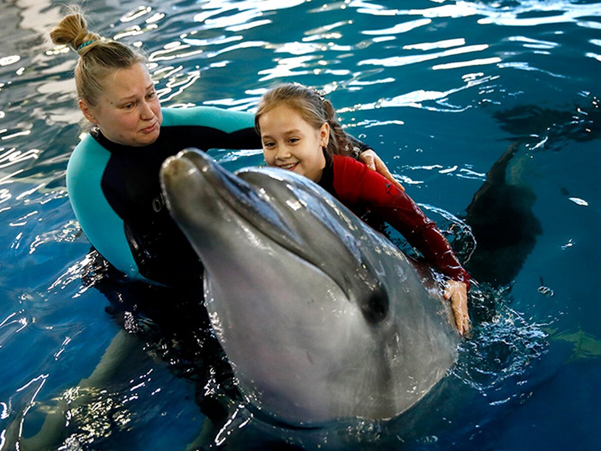 Москвариум поплавать. Москвариум на ВДНХ дельфины. Плавание с дельфинами. Москвариум поплавать с дельфинами. Поплавать с дельфинами в Москве.