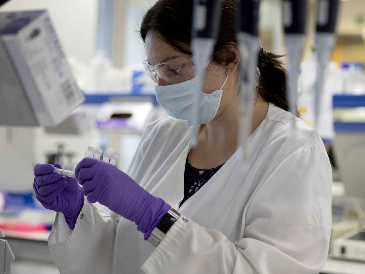 Причины приостановки