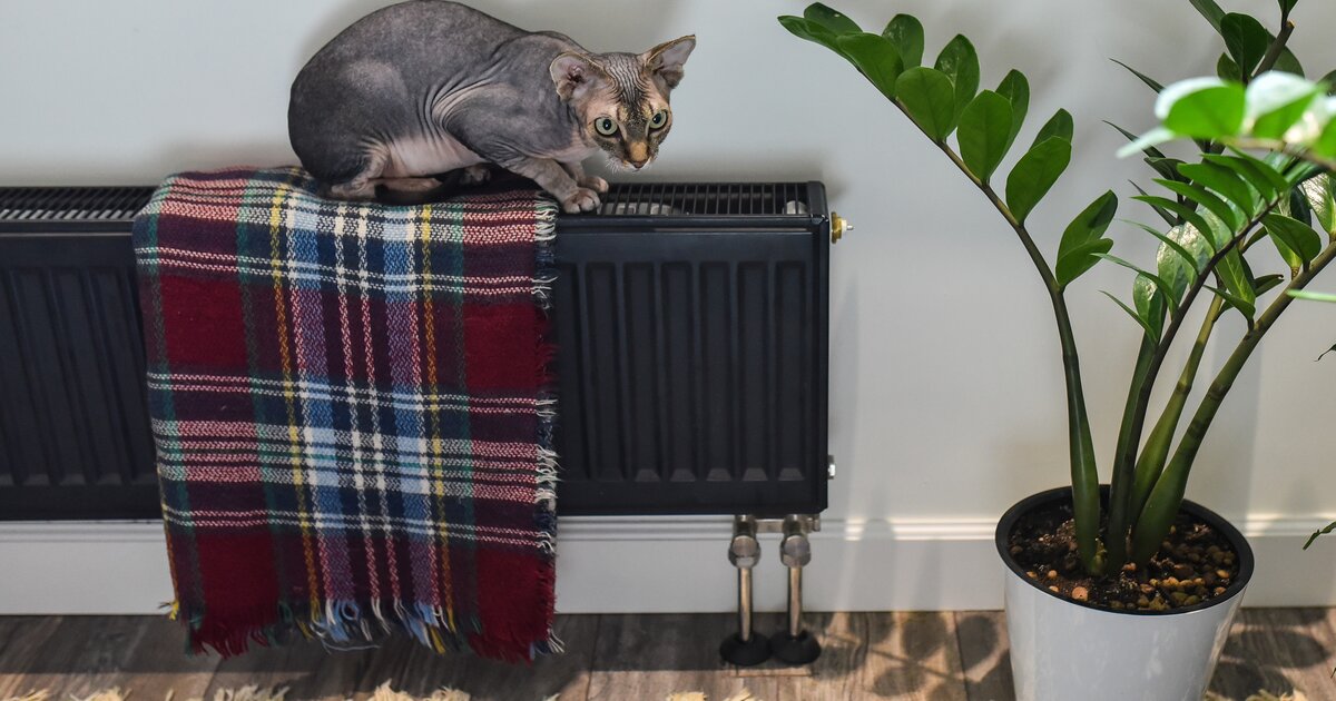 Отопление москва 2022. Выключить батарею. Когда включат отопление. Отопление в больнице. Отопление в больнице и садах.