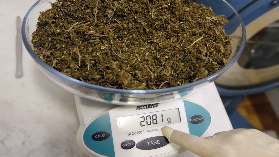 50 килограмм марихуаны сорта конопли семена купить