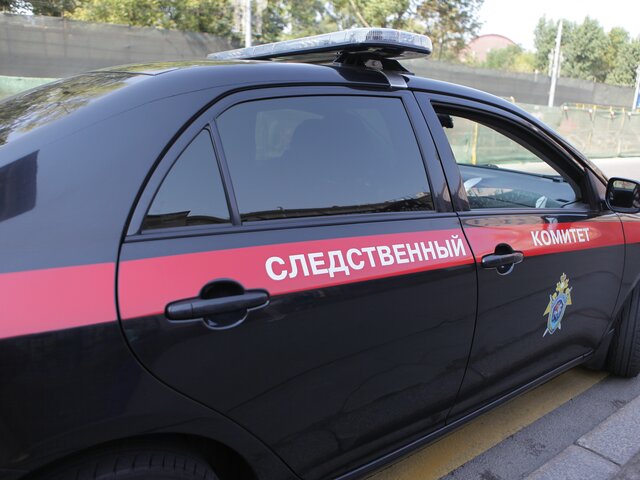 Бастрыкину доложат о расследовании убийства младенца в Челябинской области