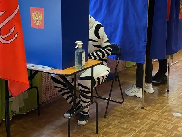 Дед Мороз и зебра проголосовали на выборах в Госдуму