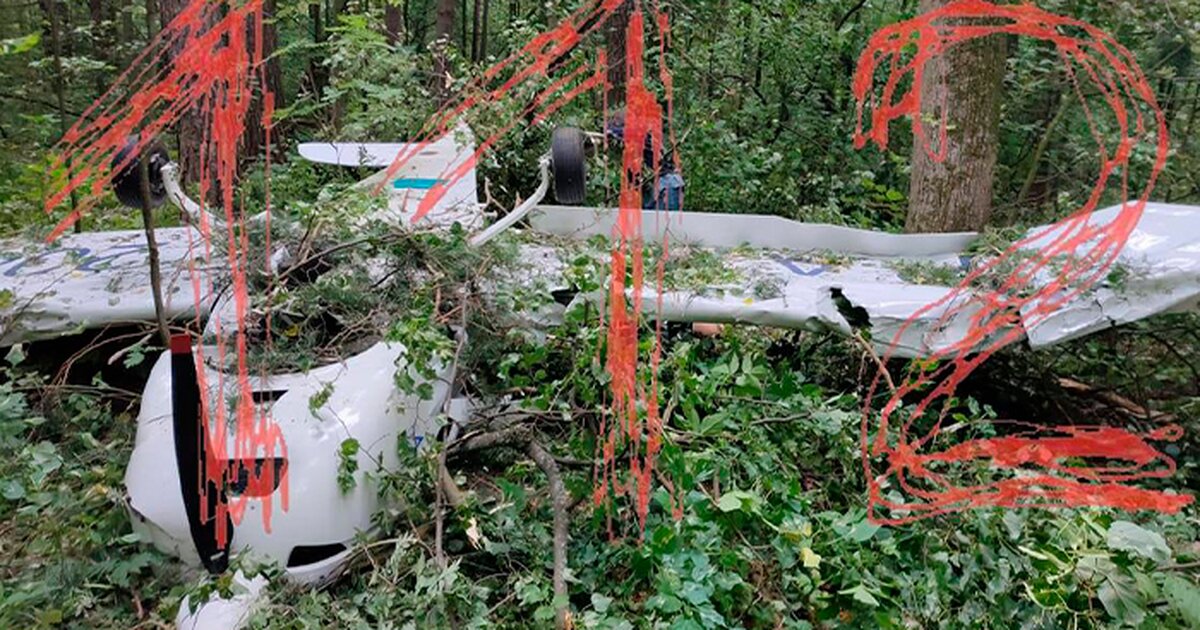 Разбился самолет богородское. Ступино разбился легкомоторный самолёт.. В Подмосковье разбился легкомоторный самолет. Разбитый самолет в лесу.