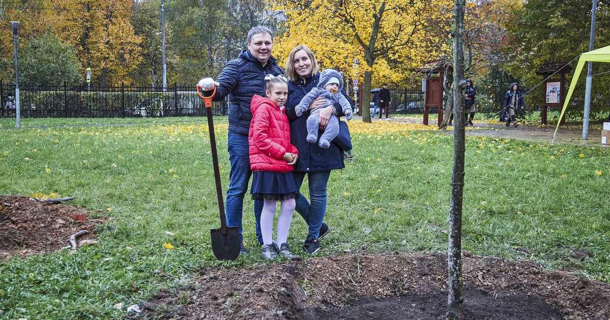 Москвичи подали более 8 тыс заявок на участие в проекте "Наше дерево" этой осенью - Vimarsana News