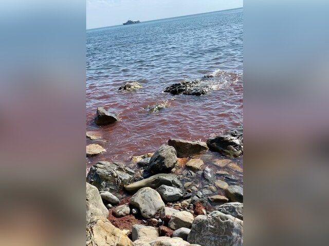 В Геленджике море окрасилось в красный цвет