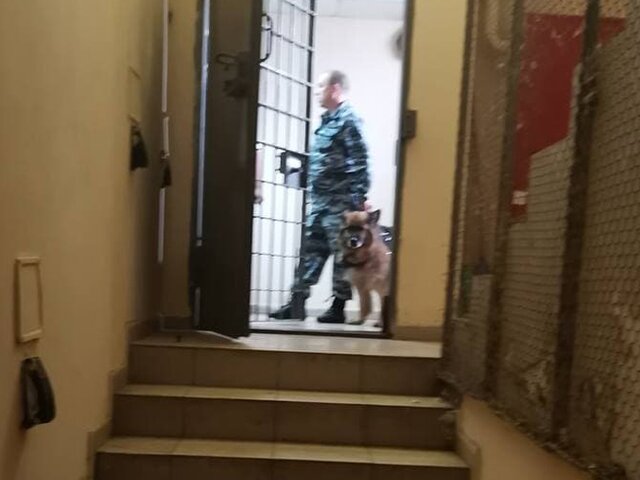 В Подмосковье задержали двоих заключенных, сбежавших из изолятора в Истре – МВД