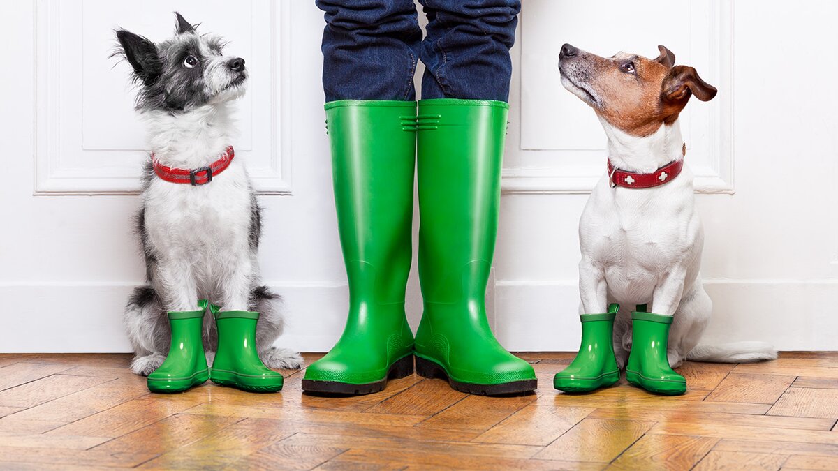 Резиновые шлепанцы - реальная угроза для здоровья или просто удобная обувь? Опасность резиновых шлепанцев для здоровья