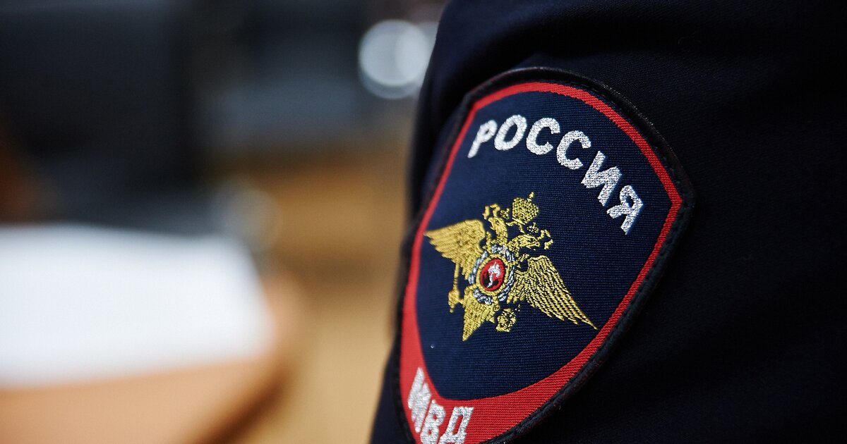 В МВД назвали главные факторы дестабилизации обстановки в России - Vimarsana News