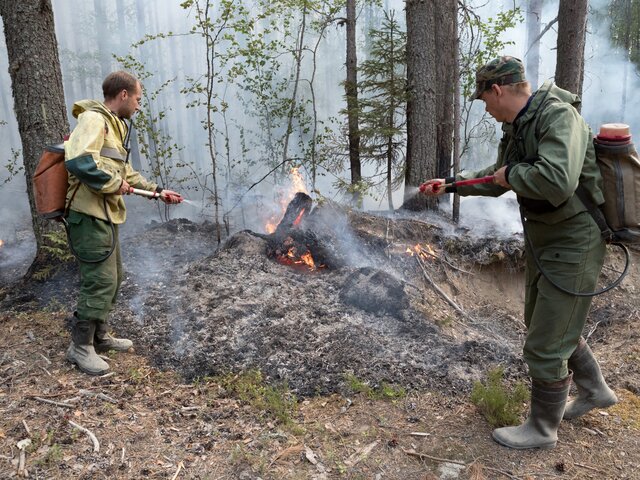 Власти сообщили о 18 очагах лесных пожаров в Карелии
