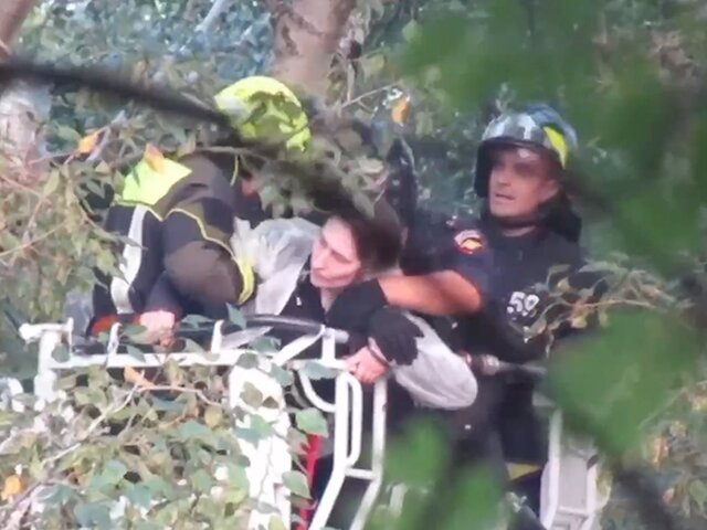 В московском парке спасатели сняли с дерева женщину, которая не хотела спускаться